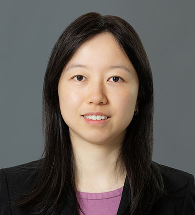 Professor Linyan LI