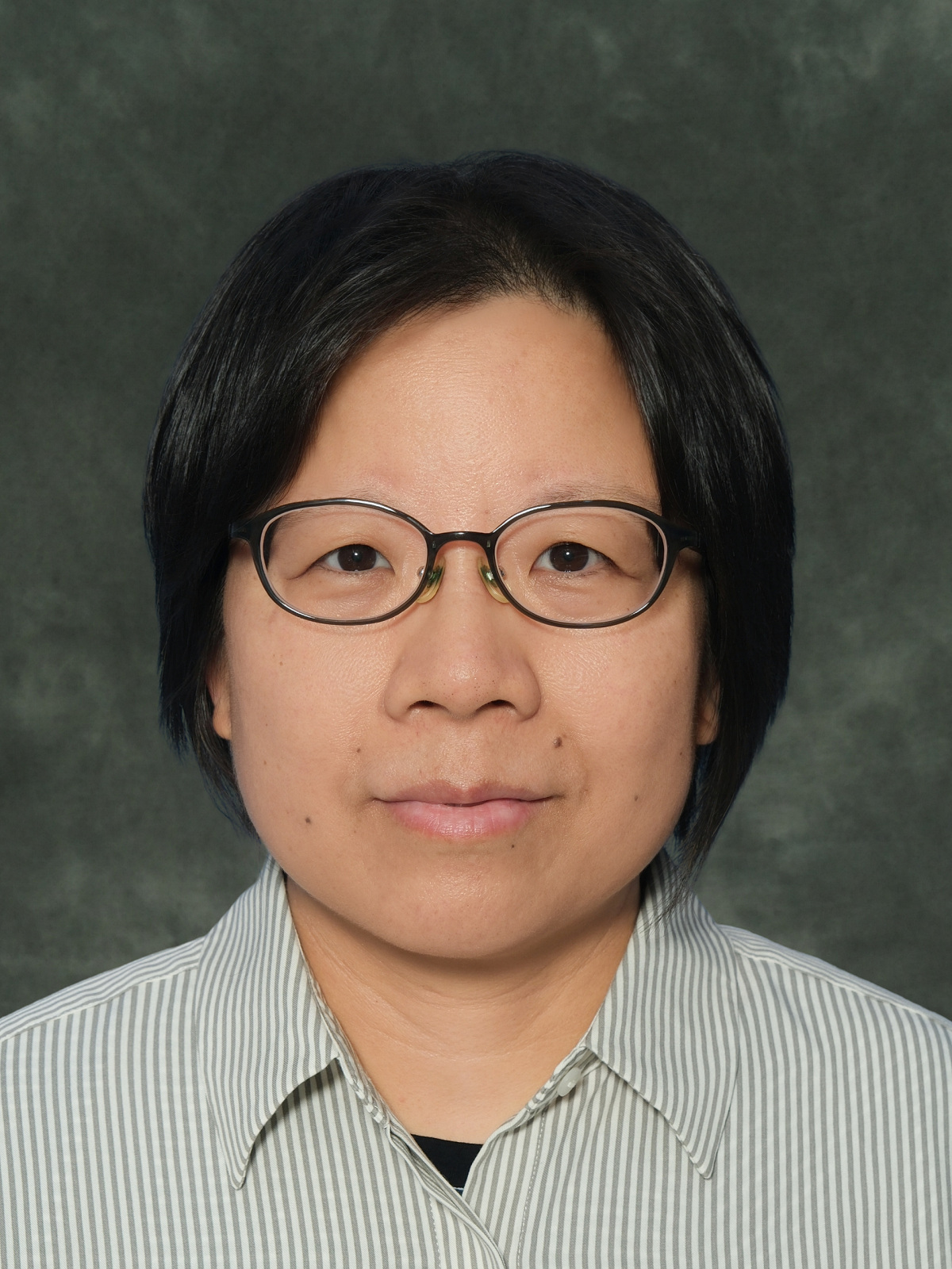 Zengli2